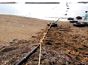 ケーブル陸揚げ(渚部)