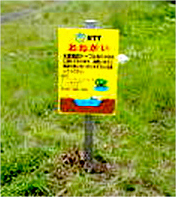 ケーブル先端揚収